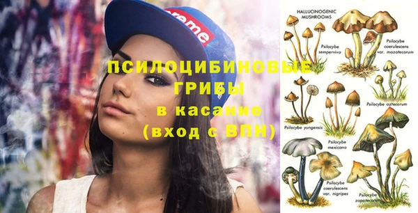 молекула духа Армянск