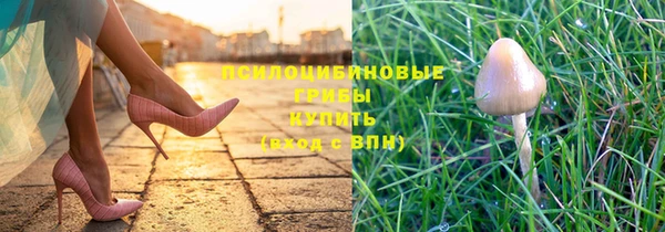 МДПВ Арсеньев